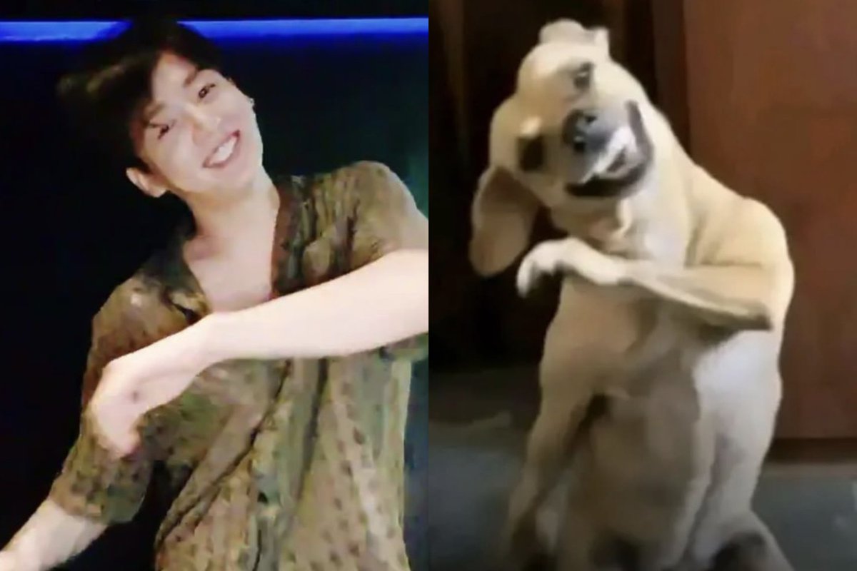 jungkookmoonn's tweet photo. https://t.co/z1o8knW2gw