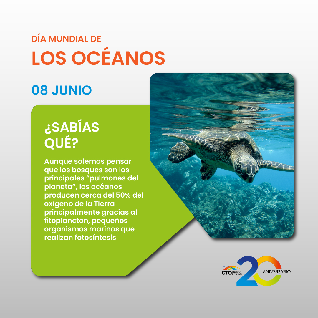 PuertoInterior's tweet photo. Hoy conmemoramos el Día Mundial de los Océanos, una fecha para recordar que su cuidado es esencial para la vida en el planeta.

Además de ser hogar de miles de especies, los océanos producen gran parte del oxígeno que respiramos y cumplen un papel clave en el equilibrio ambiental. Protegerlos es también proteger nuestro futuro.