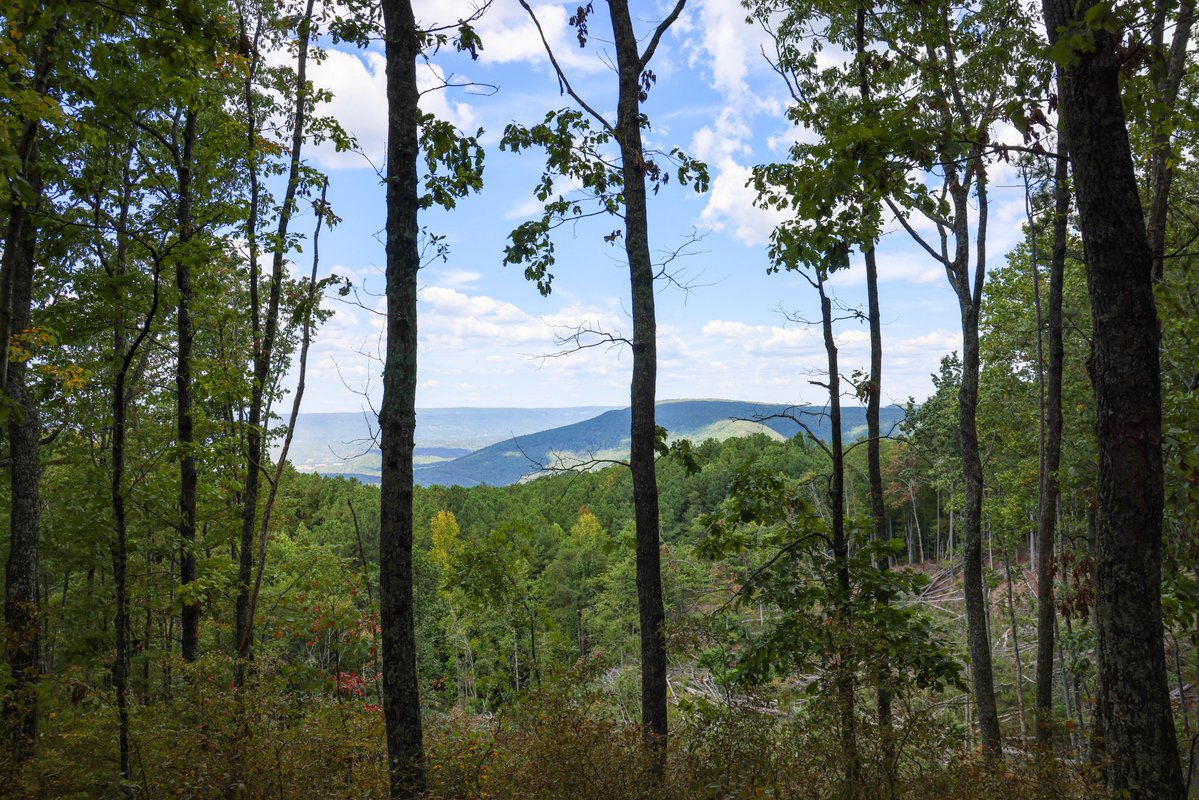 rivergorgeranch's tweet photo. The Overlook has some of the best homesites on River Gorge Ranch! https://t.co/tdLTORCjdb