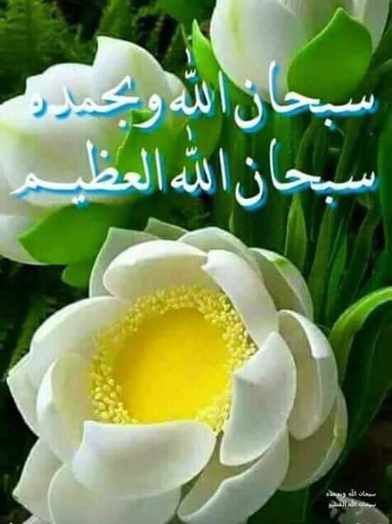 Turab_a1's tweet photo. @Ziaurhmanazhgar بلکل ، خو چی لږ د ملت خبره هم واوری ډیر به ښه شی یو دا چی د نجونو مکاتب خلاص کړی، خلکو ته کار پیدا کړی دکتوران دکتوران په سرکو دڼی وهی، ملت خپل وبول�� تنها وظیفه طالب ته نه بلکه ملت ته یی هم ورکړی په اول اول سر کی د کادرونو احترام وکړی. https://t.co/e2ZfO0ijy0