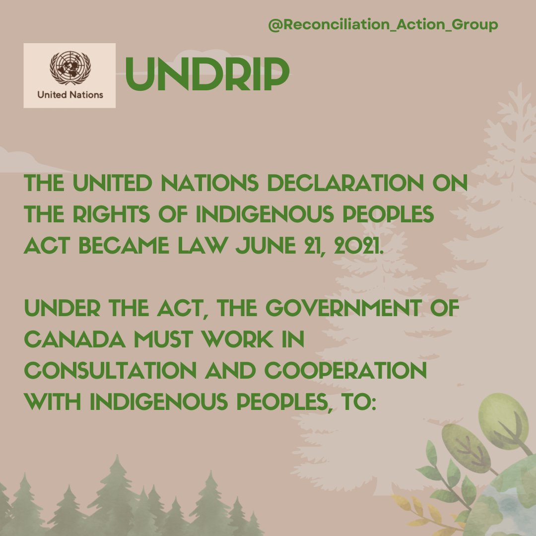 Reconciliation Action Group tweet media