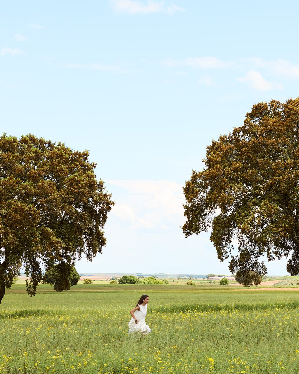 AD_Oficial's tweet photo. Un vestido de algodón para habitar los días lentos.​
​
A cotton dress to inhabit slow days.​

#AdolfoDominguez #ZenitSS26 https://t.co/NVuRMhPRG5