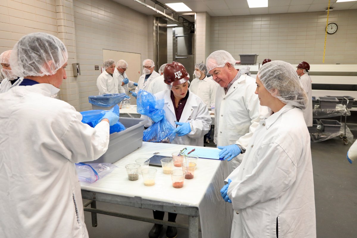tamuansc's tweet photo. Learning never tasted so good 🔥

Barbecue enthusiasts spent the weekend in Aggieland learning from industry experts and exploring topics like seasoning, fire management, smoking techniques and meat science at Barbecue Summer Camp.
#TAMUANSC #TexasBBQ #MeatScience https://t.co/w2QXhF3Csl