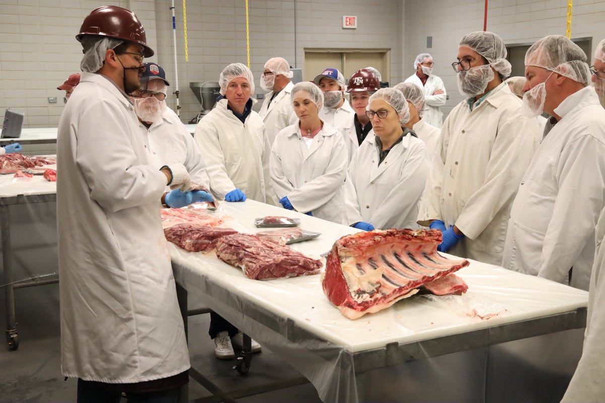 tamuansc's tweet photo. Learning never tasted so good 🔥

Barbecue enthusiasts spent the weekend in Aggieland learning from industry experts and exploring topics like seasoning, fire management, smoking techniques and meat science at Barbecue Summer Camp.
#TAMUANSC #TexasBBQ #MeatScience https://t.co/w2QXhF3Csl