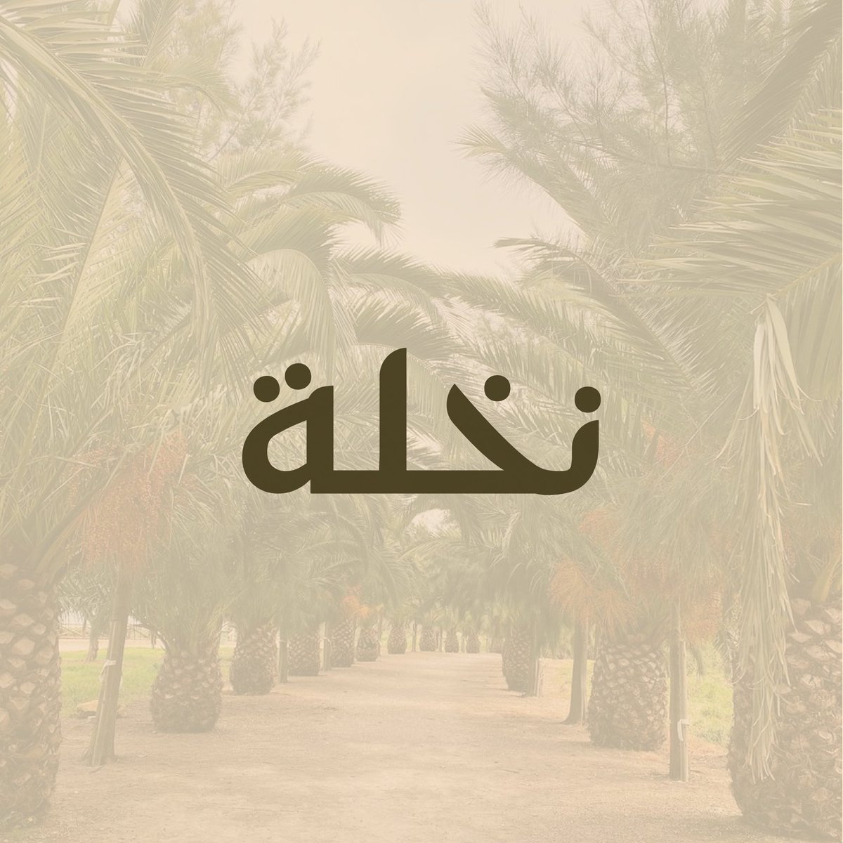 z21_design's tweet photo. من اعمالي تصميم شعار  و  باكجنق " نخلة " لمنتجات التمور 🌴 https://t.co/LwUMRJBVVB