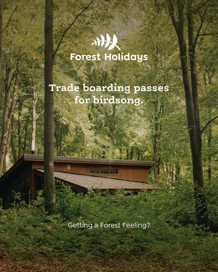 Forest Holidays (@forestholidays) / Posts / X