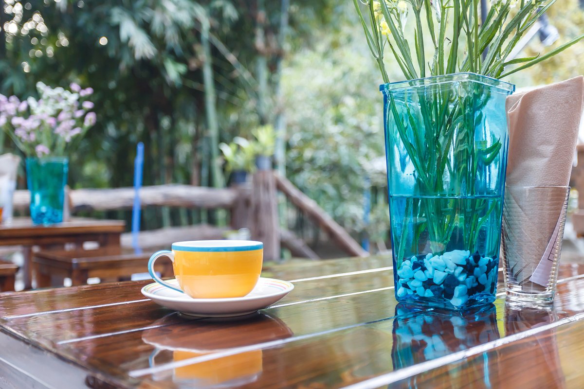 elfuegooo's tweet photo. Cozy weekend morning: sipping hot coffee, reading a book, no alarms, all peace https://t.co/UyT6buanlY