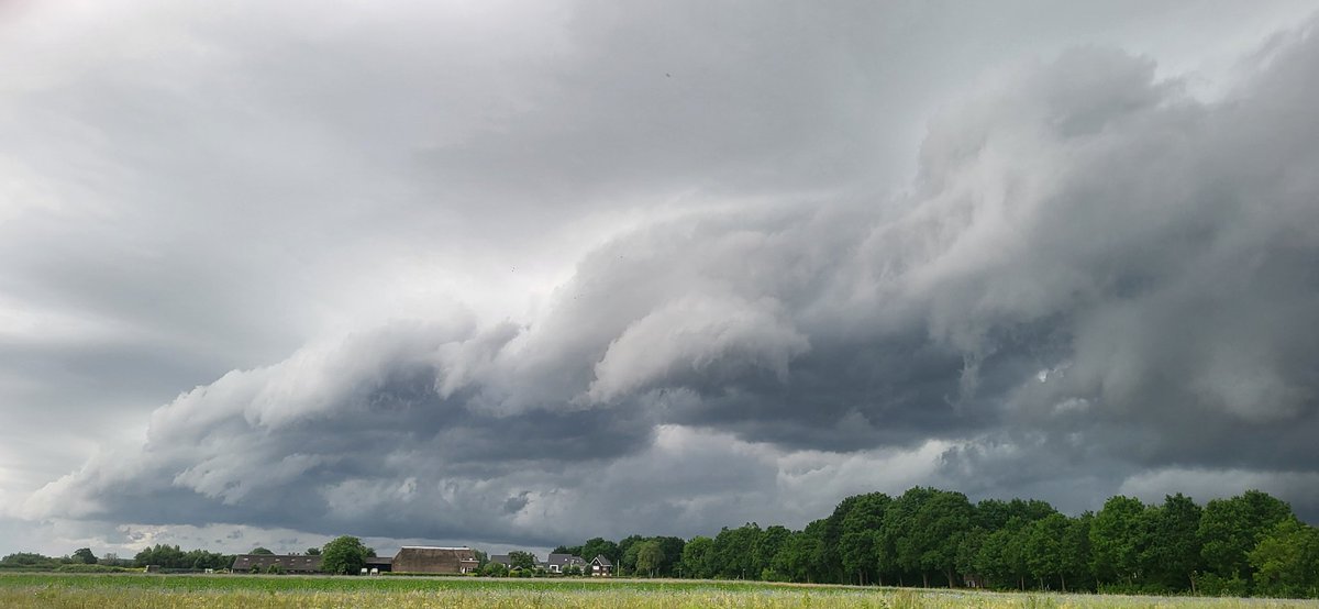 wolvenne's tweet photo. Zo Gaaf nu https://t.co/aUVZ2aGyaP