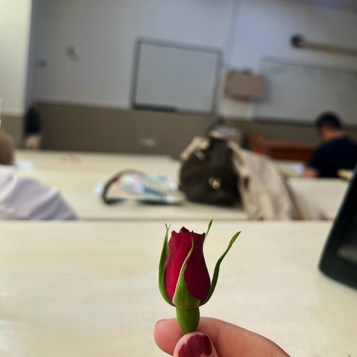 fatmaiseri_'s tweet photo. Kimse takıntılığımı sorgulamasın https://t.co/oP8zCjWVQU
