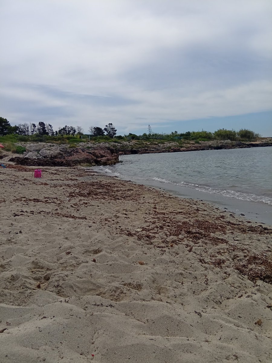 RobertaGra11181's tweet photo. #giugno #mare buona giornata di 🌞 https://t.co/7mPMRGN5WK