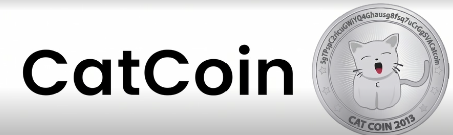 oxansemsol's tweet photo. What's the most bullish thing happening right now on $CATCOIN? https://t.co/ErfP7BfOSk