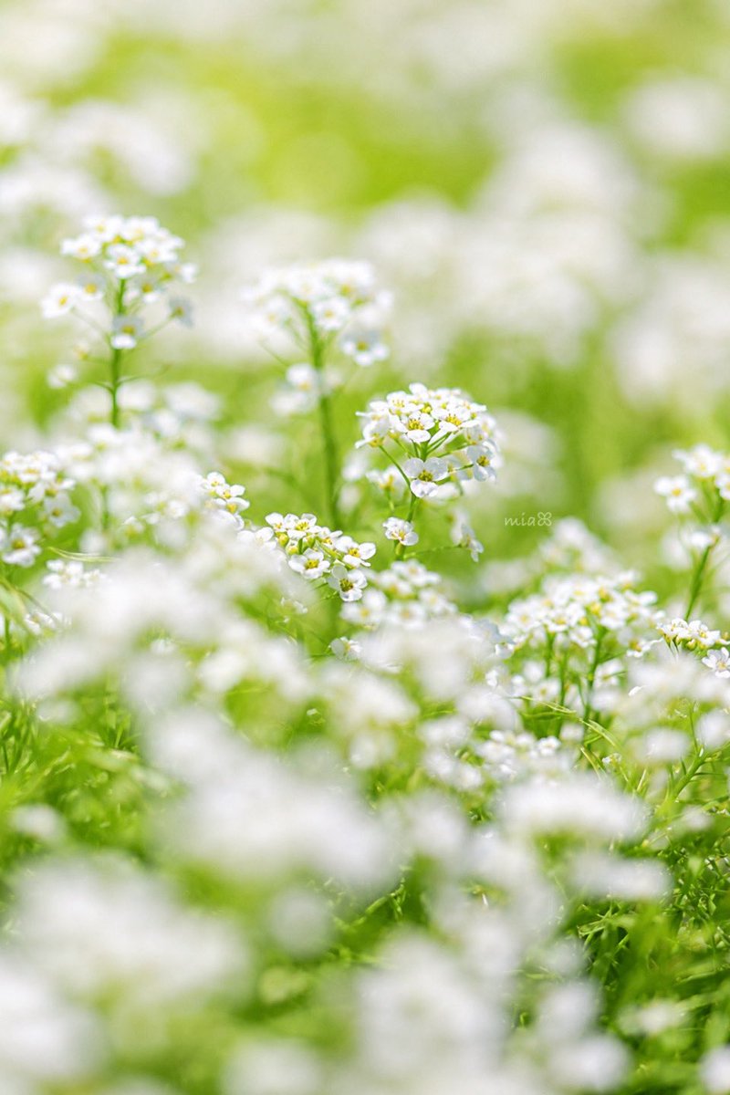 LAND3276's tweet photo. Nature https://t.co/HpPrkUVZQK