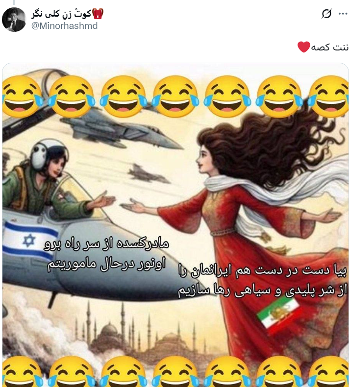 آریامهر سایه tweet media