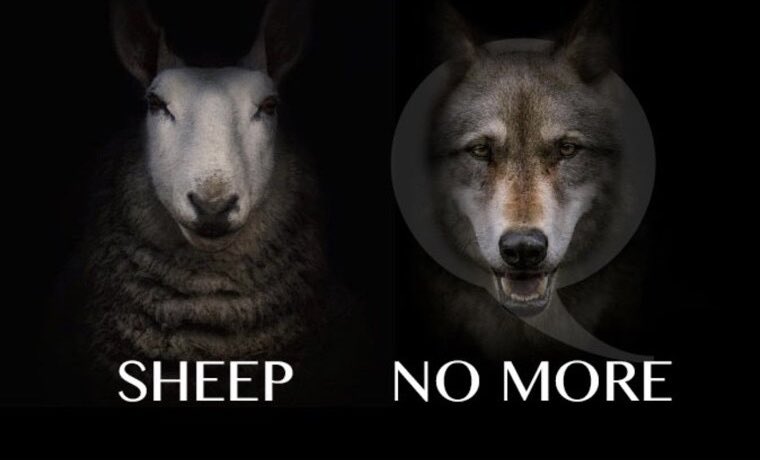 cgcomp's tweet photo. Within the heart of the beast lies operatives who knowingly sabotage and alter systems to weaponize them against you and me. Always secret. Always invisible. 

Methodical 
Relentless 

The time to pay for their traitorous acts is at hand.

Sheep no more.

Pain coming. https://t.co/8vaCiZ42MU