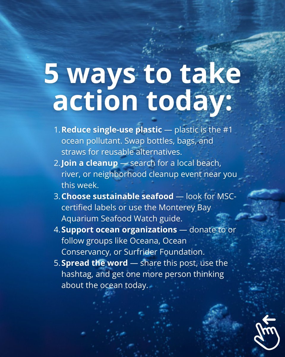 SWHManagement's tweet photo. Every year on June 8, the world comes together to celebrate the ocean - the beating blue heart of our planet. This World Oceans Day, let's dive into why it matters and how you can make a difference. 🌊
#worldoceanday https://t.co/uVtPrPao76