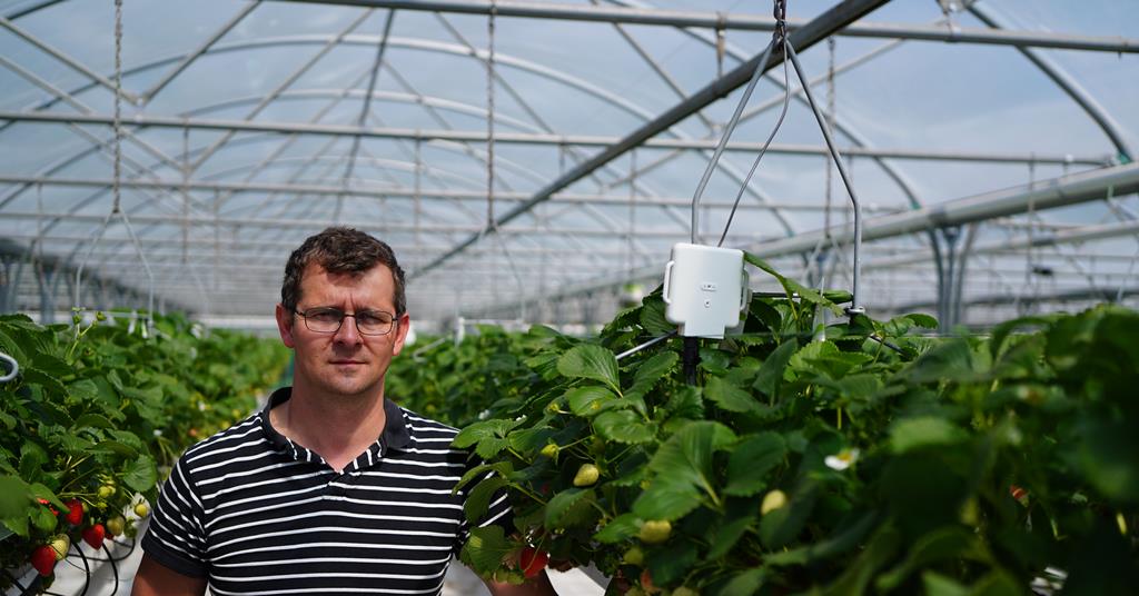 FPJlive's tweet photo. Grant funding to help tackle uneven pollination in soft fruit https://t.co/mvVLf5cy2F https://t.co/wzQeIezFxl