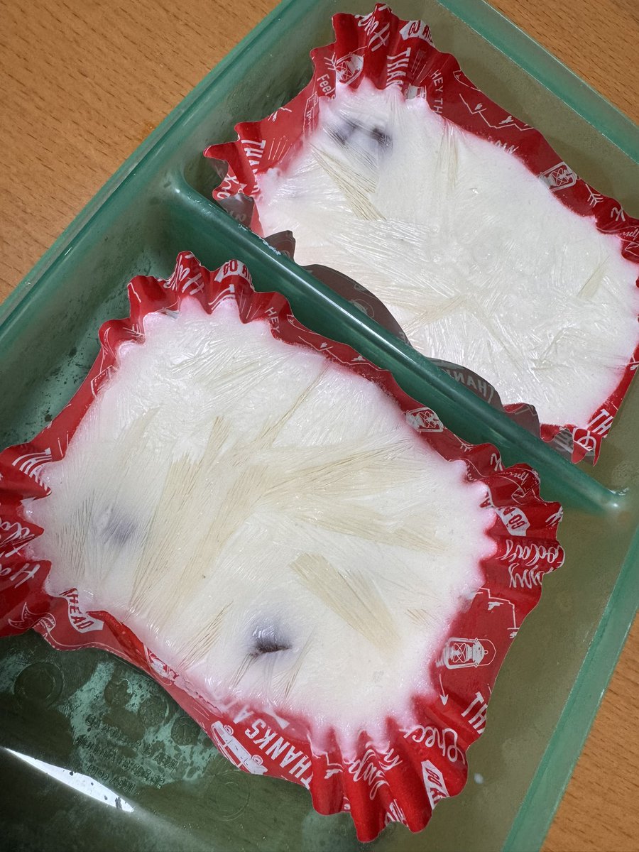 opinkdiary's tweet photo. 見栄えが悪いけど
手抜きヨーグルトアイスが
美味し過ぎた👀

ヨーグルト200g(食べ切り用)
ハチミツとレモン汁と
余ってたチョコ入れて凍らせただけ

程よい酸味だし
量少なめだけど食べた感あるし
良き🍨 https://t.co/c2YJLY02gg