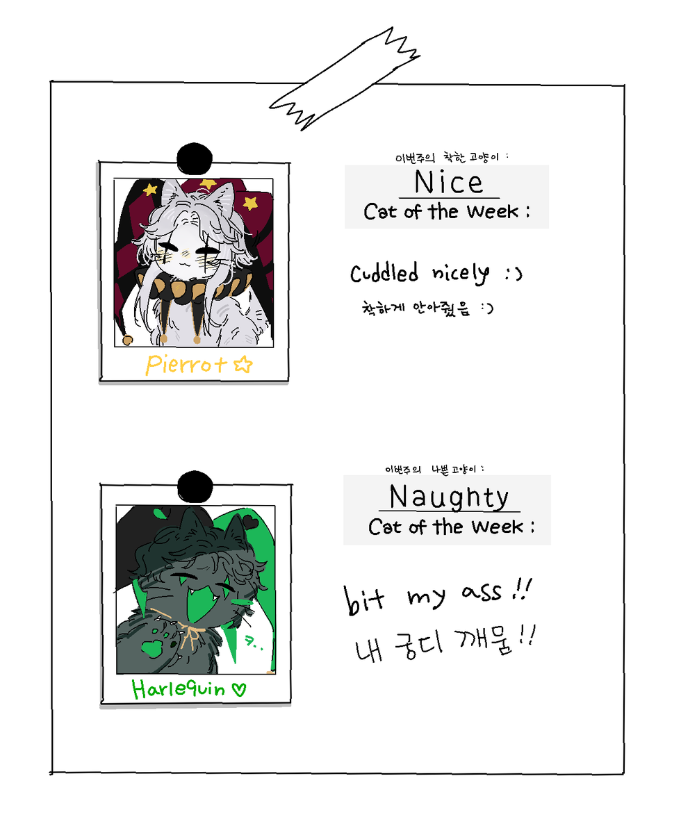 Ov_Otaku's tweet photo. 고양이들이 읽을 수 있는 높이에 붙여주세요 (패러디) https://t.co/SGYYa7vzIy