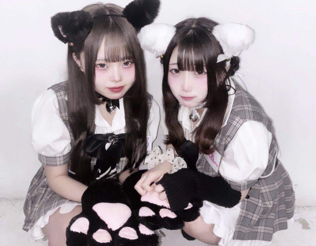 isl_nene's tweet photo. ฅ^.⩊.^ฅ https://t.co/aweF8OAl23