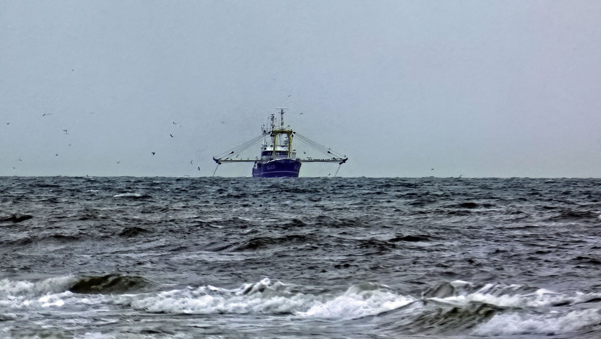 Sjef55's tweet photo. Vanmiddag langs het strand #egmondaanzee @WilliamHuizinga @nicolienkroon @onwukaa @BuienRadarNL @mrmiddendorp @MartijnDorrest1 @EmsWeather @helgavanleur @jordiweerman @marjondehond @RTLOntbijtnws @RTLnieuws @janvissersweer @NHNieuws @weermanrobert https://t.co/n1okg79Mw8
