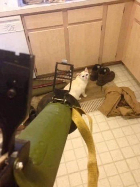 filthynicius's tweet photo. morre desgraça de gato burro vou matar essa merda bixo ruim do caralho enviem 20 reais para meu pix para eu nao matar esse filho da puta https://t.co/24NyKw17gb