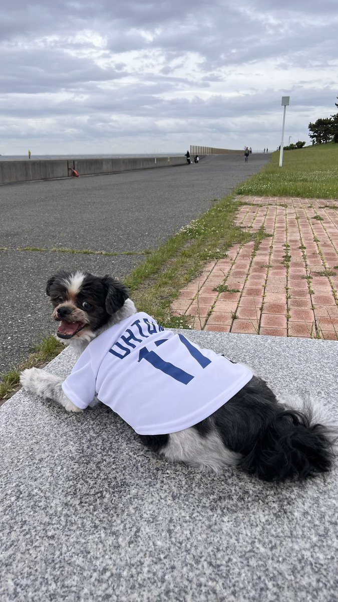 KawawaManami's tweet photo. ドジャースはエンゼルスに5-13で敗戦

苦しい試合だったけれど、
球場にはたくさんのワンちゃんたち🐾

勝敗を超えて家族や愛犬と同じ時間を
楽しめるのも野球の魅力

今日の一日も、誰かにとって特別な思い出になっていたらいいな✨

📷大好きなA
#ドジャース 
#MLB 
#野球好きな人と繋がりたい https://t.co/jVxALaZwcQ