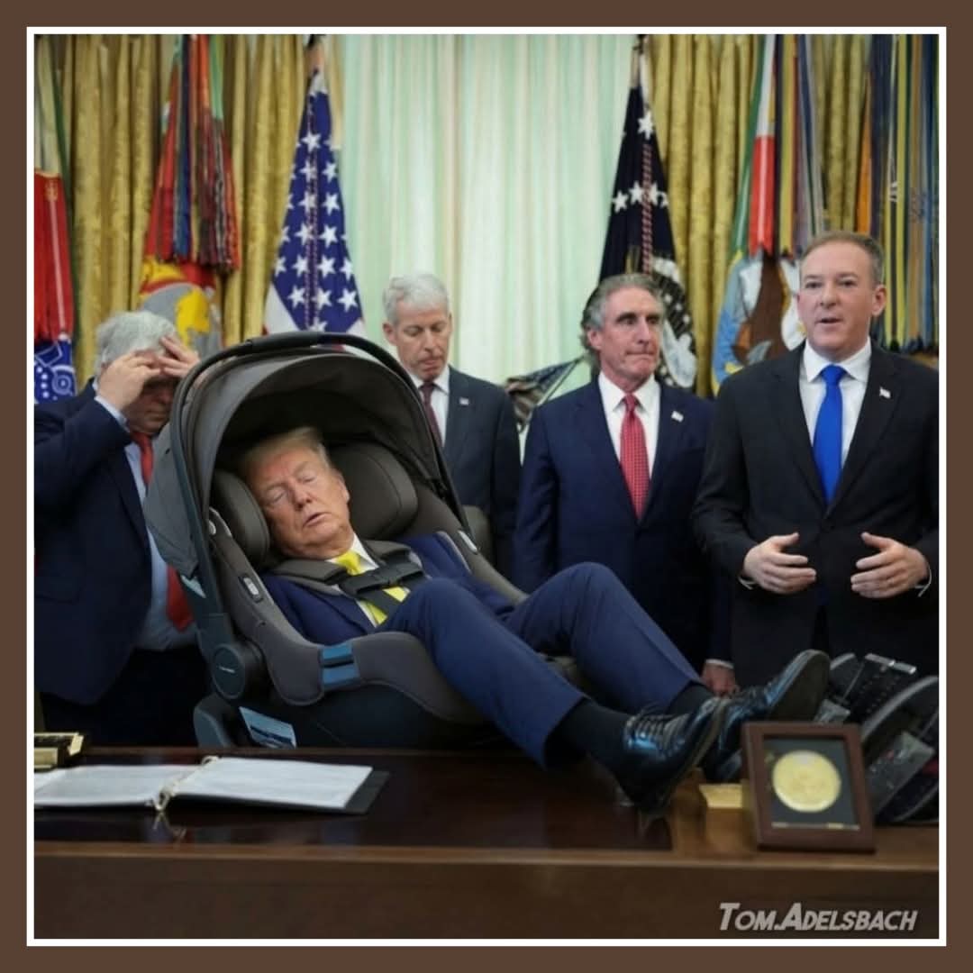 Lynseey85's tweet photo. @thetrueshelby If it acts like a fucking pedophile toddler..... IT IS. https://t.co/a4VztsqCFB