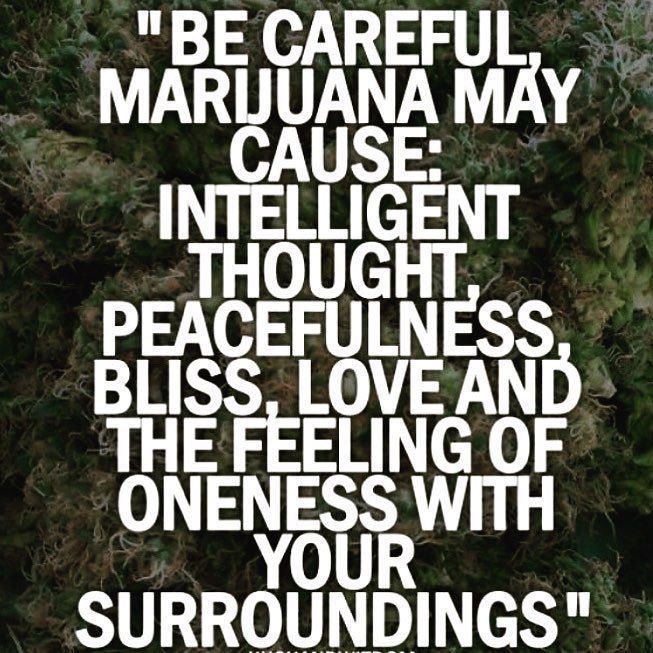 Stephjd420's tweet photo. Happy Mondaze and best wishes for a wonderful day!🫶🍃💨 https://t.co/sZwT94GlGb