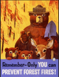 FloridaTweeter's tweet photo. @funder "Remember, only you can prevent forest fires."
🇺🇸🗳️💙 VOTE BLUE UP 7 DOWN BALLOT TO SAVE THE U.S. FOREST SERVICE, PREVENT FOREST FIRES, AND SAVE OUR REPUBLIC! https://t.co/LTXONhO1iM