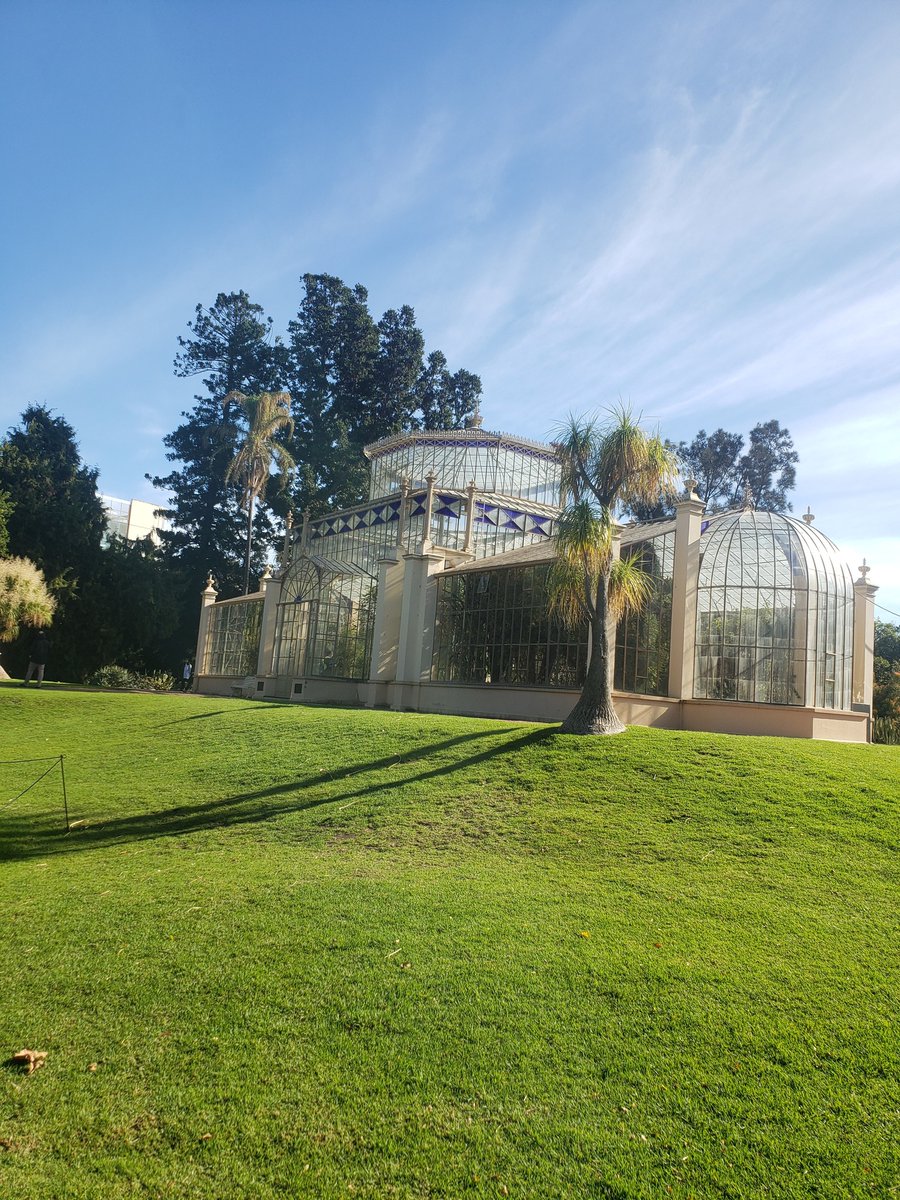 Atrapine1973's tweet photo. #adelaidebotanicalgarden #adelaide #southaustralia #nature https://t.co/4Q1ikgaFtu