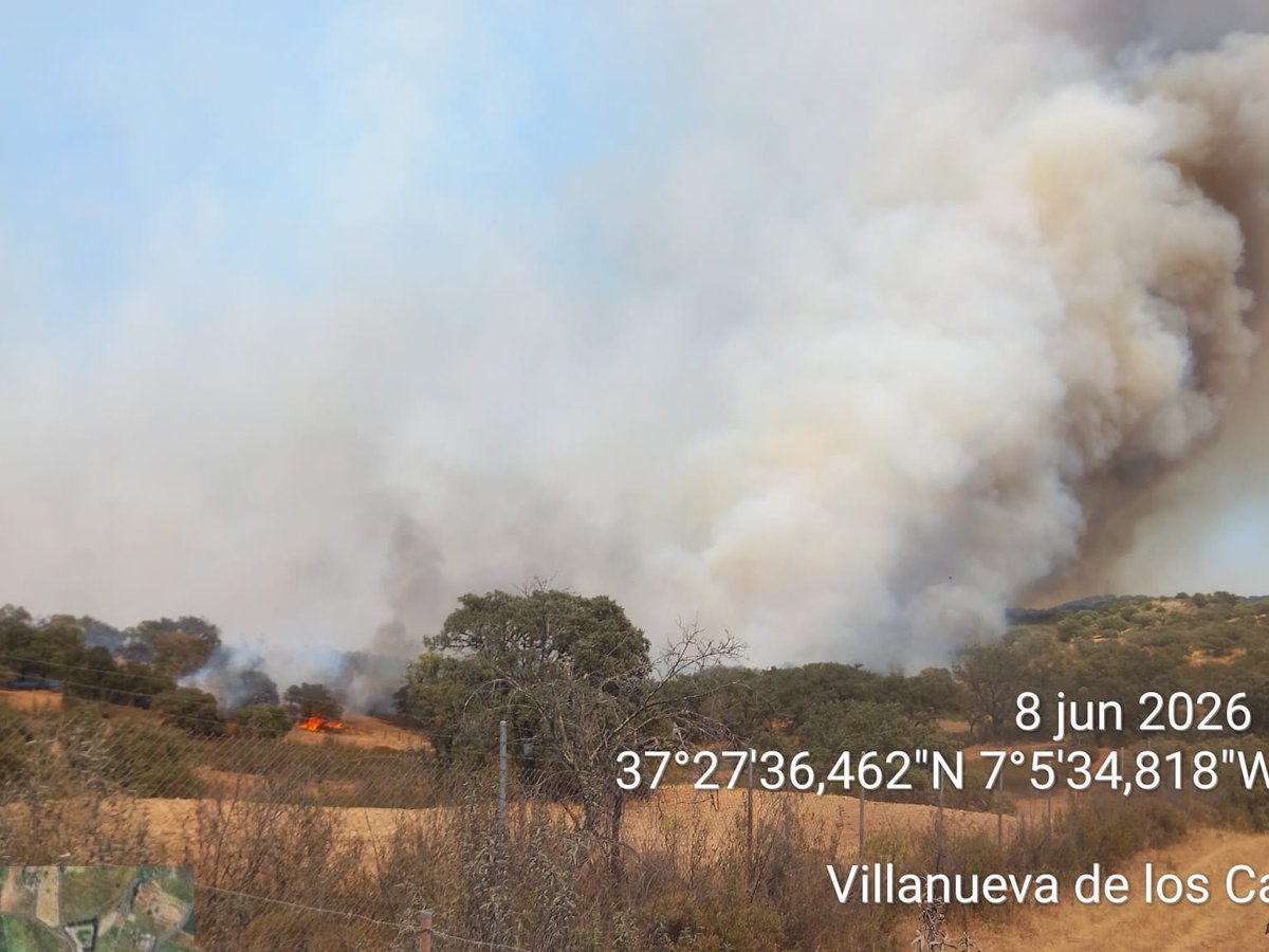 Plan_INFOCA's tweet photo. 🔴 #IFVillanuevaDeLosCastillejos (#Huelva), paraje Los Turbios.

ACTUALIZAMOS MEDIOS:
🧑‍🚒110 efectivos por tierra
🚒 5 autobombas
🚁 3 semipesados, 2 pesados, 1 ligero 
🛩️ 3 anfibios ligeros, 2 de Coordinación, 4 de carga en tierra
🚛 Unidad Médica, Unidad Meteorológicas
🚜 4 https://t.co/7rczSbhYch