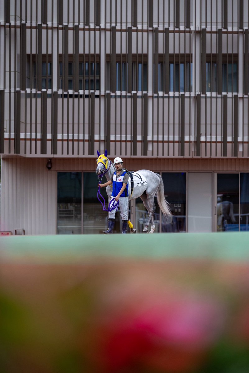umatonekoship's tweet photo. 2026.6.8
大井競馬場 6R
へび座特別
ファーストメイト
ゴールドシップ産駒
阪本厩舎
福原杏騎手 https://t.co/5LRFZIYLyi