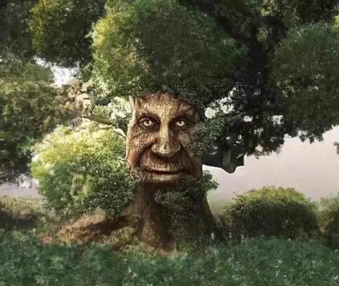 acheswaan's tweet photo. me talking to the wise old tree https://t.co/aO6R6EX1US