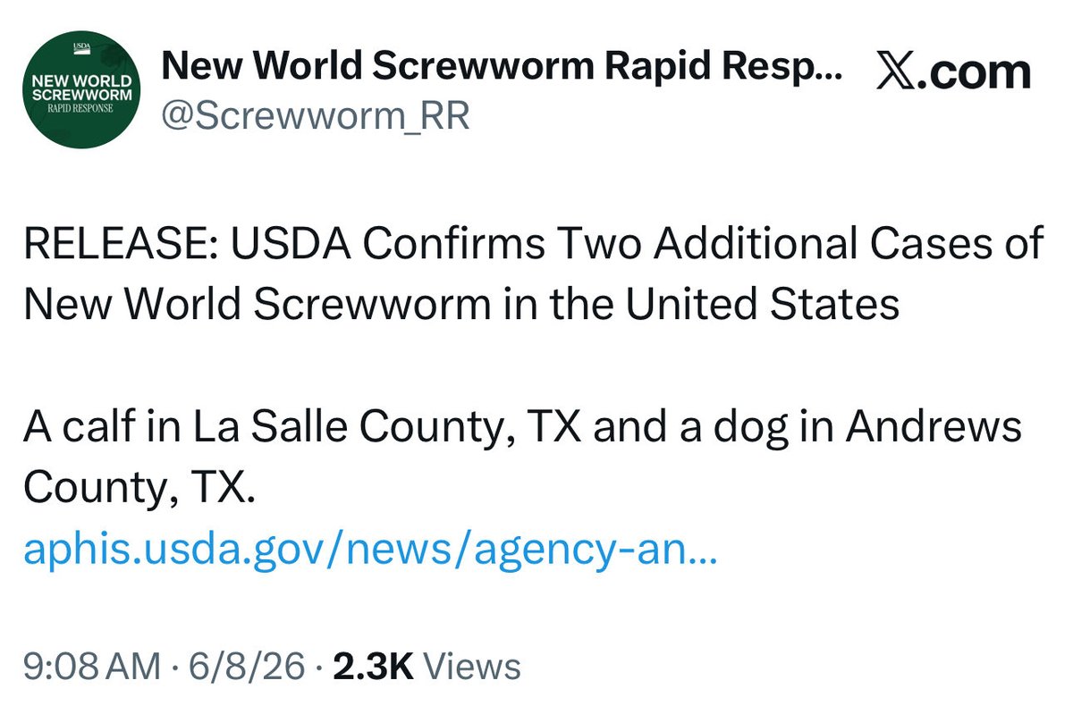 patriottakes's tweet photo. 🚨 Two more screwworm cases have been confirmed by the USDA in two different Texas counties, one in a calf and one in a pet dog. https://t.co/yeLZkGjusy