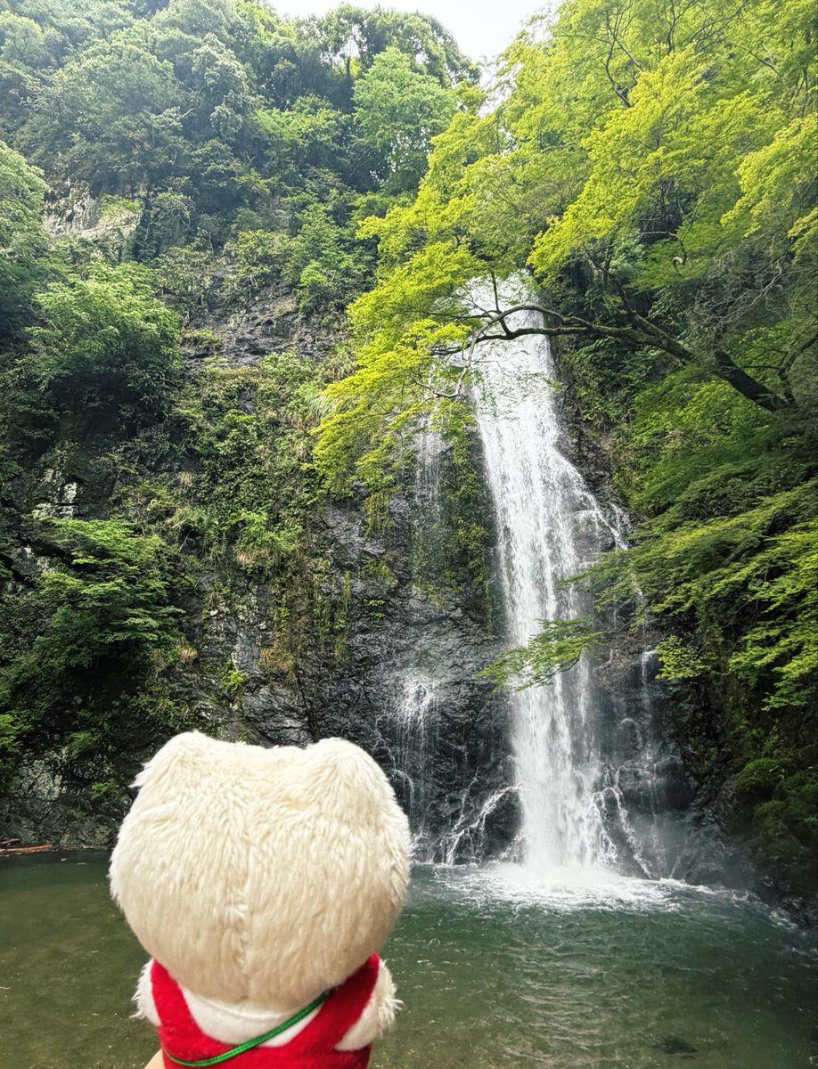 arohacco's tweet photo. とても空気がおいしくて
心が軽くなった
いつもあなたの限りある時間を
私にくれてありがとう🍀 https://t.co/qWm2I3Mdb3