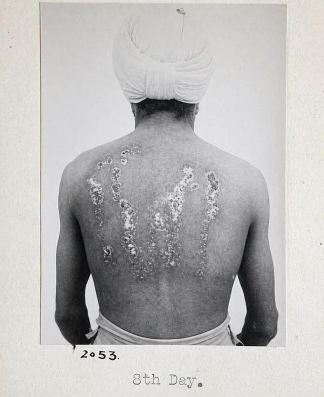 harrapasabhyata's tweet photo. Hitler did not put Indians in Gas Chambers, the British Did.

But Still Even Talking About Hitler's Successes is a taboo for some in India while being a angrezi-tatto is fine🤡 https://t.co/bQM6UoEHGD
