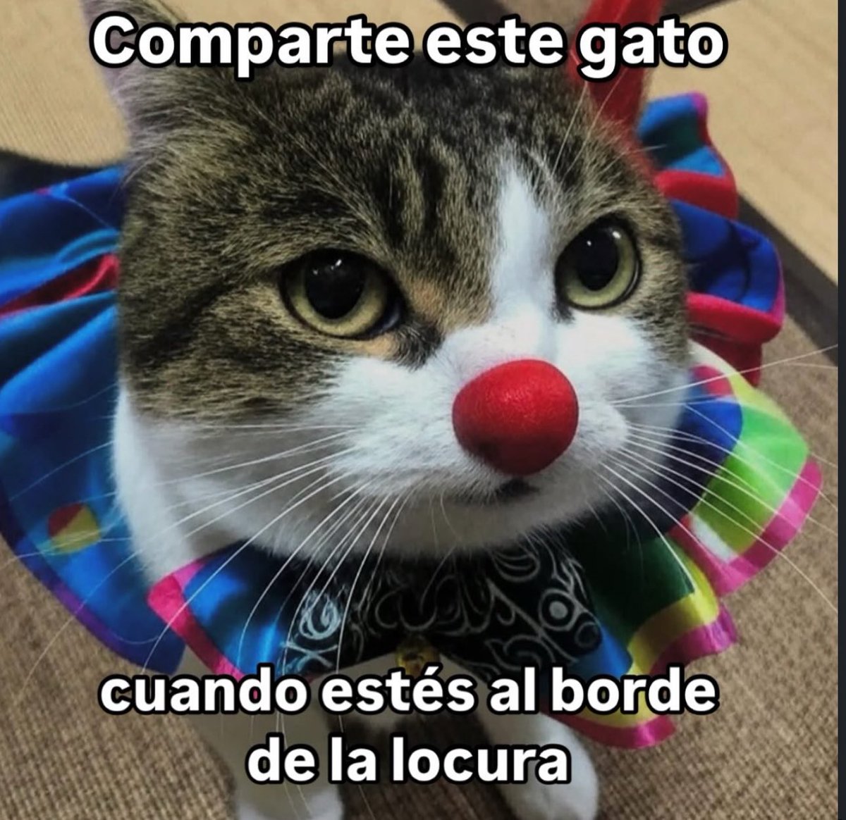 dark_Box0's tweet photo. @_GabsGabs__ @melachupantod0s La ultima vez que dije algo como eso no acabo muy bien https://t.co/ZET2hjLeN9