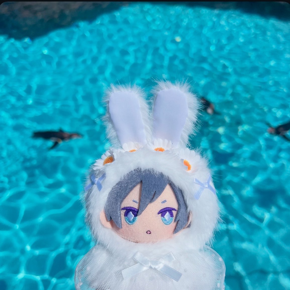 Orangette02's tweet photo. 先月もシルぬい連れてお出かけしてきた https://t.co/RYJ9El7nAg