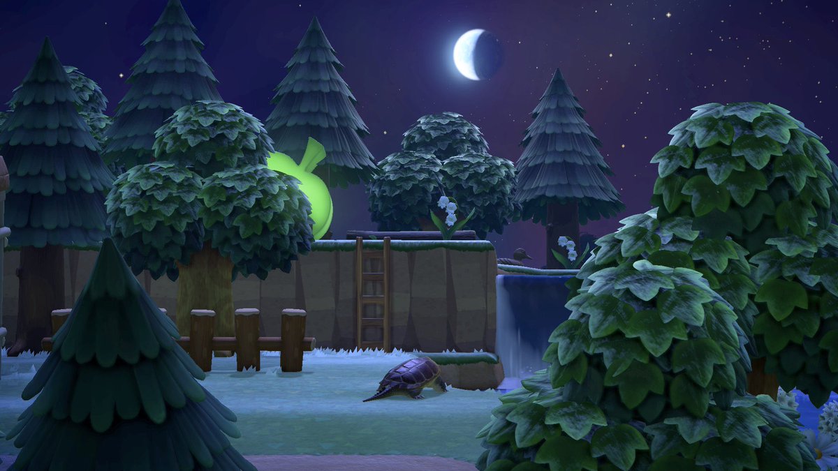omgrgame_'s tweet photo. 🐢🌙 https://t.co/wtDQUtaLuX