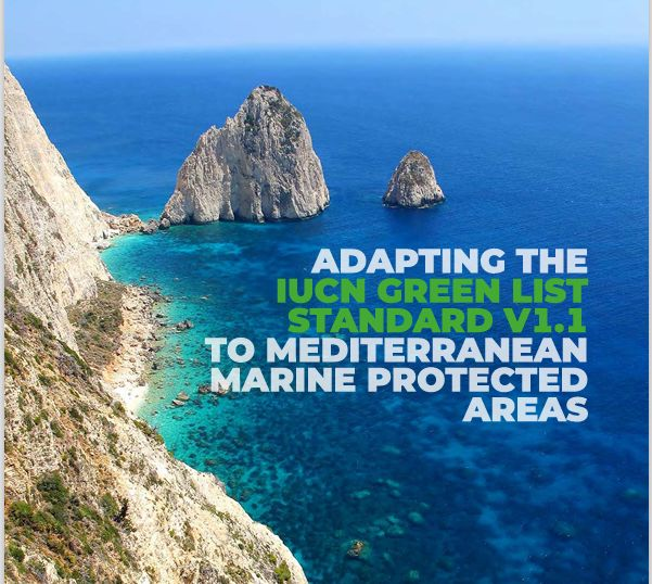 IUCN_Med's tweet photo. 🌊 World Ocean Day 🐳
IUCN Med is proud to launch new guidelines for MPAs 👉 https://t.co/q8LVUCQC9w
Developed under the Interreg Euro-MED Programme project GreenList4MMPAs, a Mediterranean MPA Expert Assessment Group for the #GreenList has also been established.
#30x30 https://t.co/gvP5ij1J8D