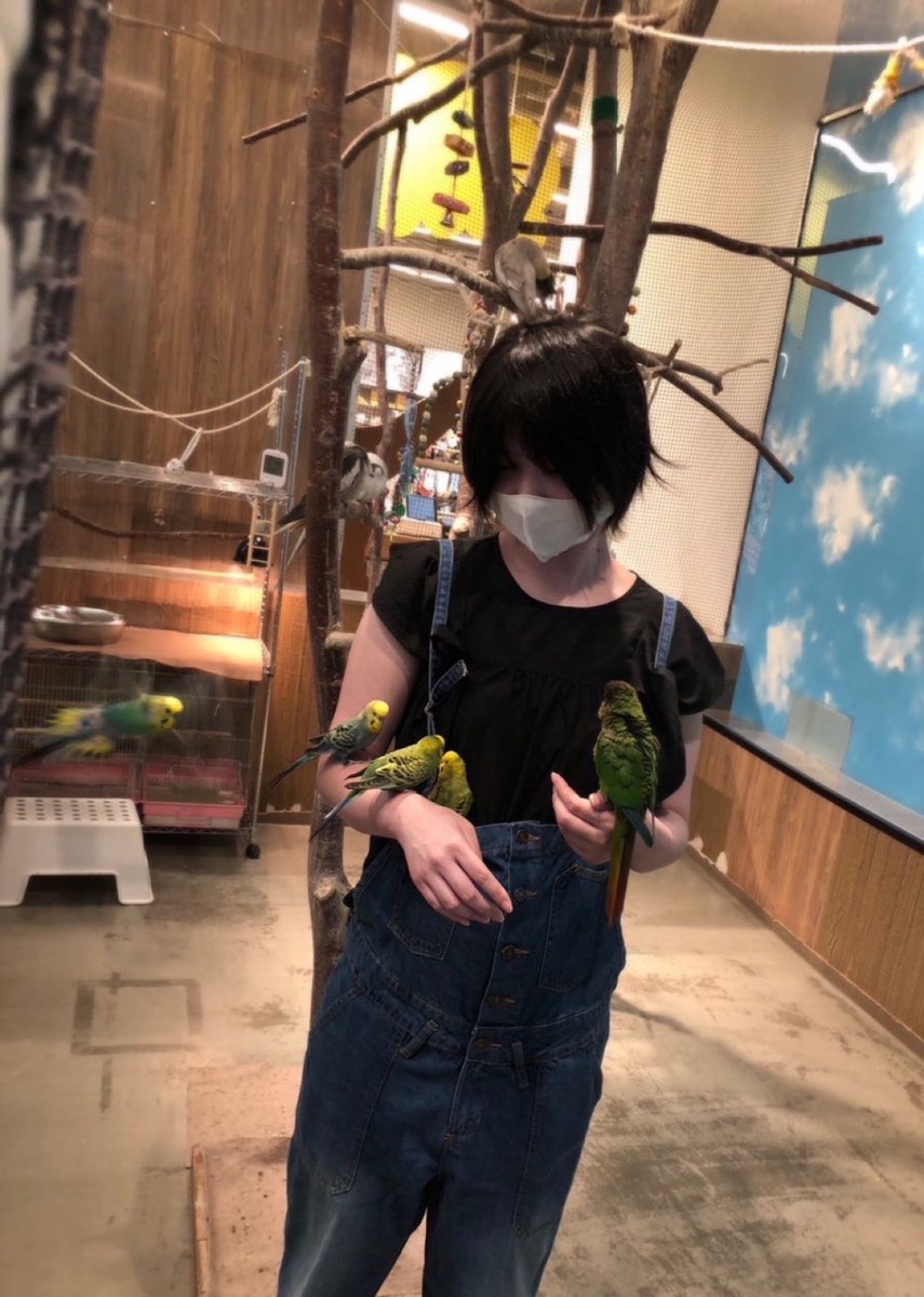 lycopene5's tweet photo. 鳥 https://t.co/0RrlC1Lemv