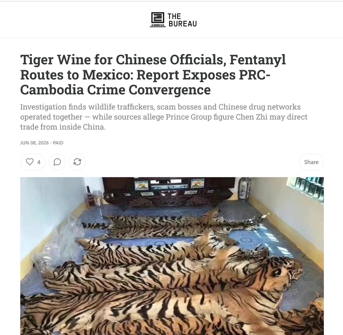 cbcwatcher's tweet photo. "The convergence reaches into the Chinese state through its customers, according to the traffickers quoted in the report. The buyers for the most expensive contraband — rhino horn, ivory, tiger wine — were, by the traffickers’ repeated account, Chinese government officials and employees of state-owned enterprises. “They all work for the Chinese government,” one kingpin said of a buying group. “We help them to smuggle into China after they pay the money here.” A trafficker the report identifies only as “Cam11” said Chinese Embassy officials were major consumers of his tiger-penis wine, “which as of 2025 retailed for $1200 a bottle, often sold in sets of three.” @scoopercooper
