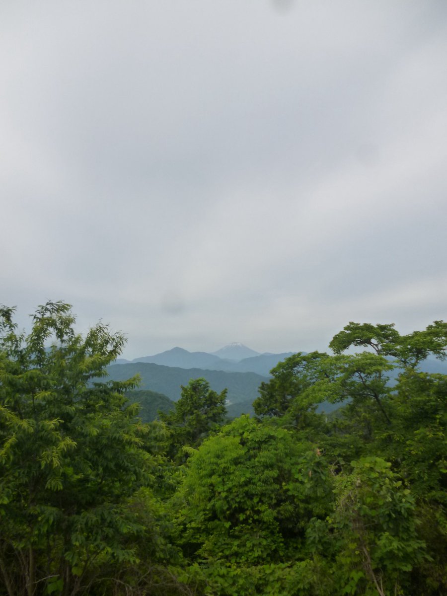 06sgr's tweet photo. 🌳🌛🫧 https://t.co/4voFCGuH4C