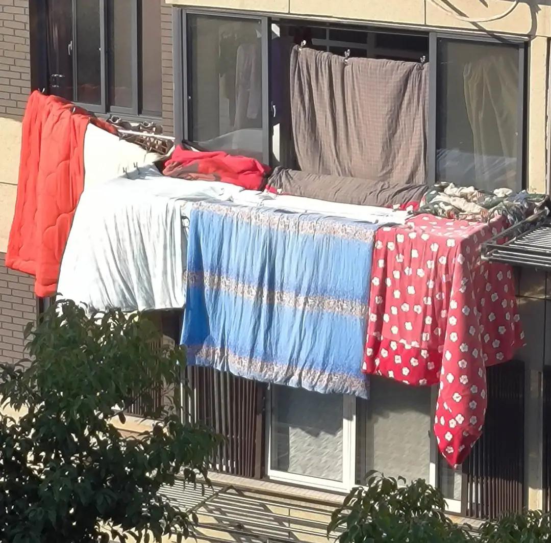 prns725's tweet photo. Just folded the laundry I’d been ignoring for days. Smelled like sunshine and felt like a tiny win. ， https://t.co/nUjSCHfZ9I