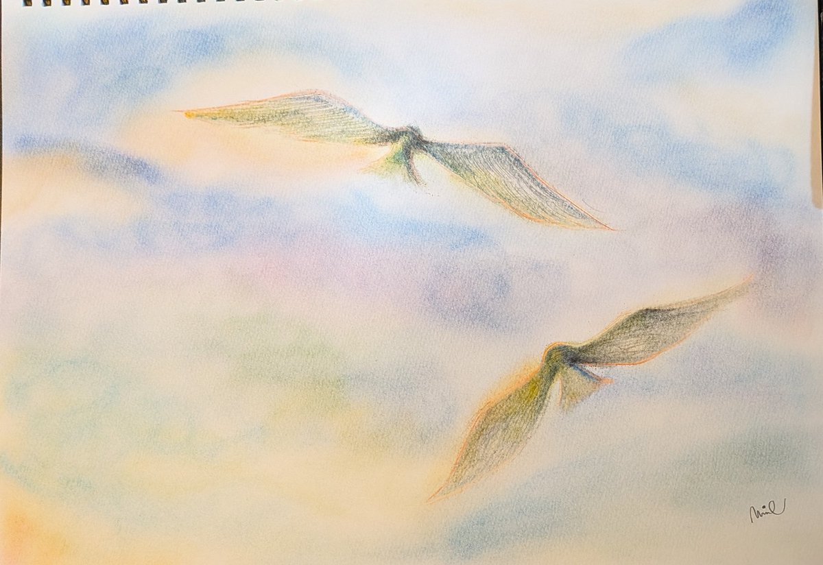 miee_co2's tweet photo. 飛翔
なん��なく鳥が描きたくて
空想の中　自由に羽ばたいていく鳥を描いてみました。

＃パステル画
＃鳥 https://t.co/o0wZT7HWu3
