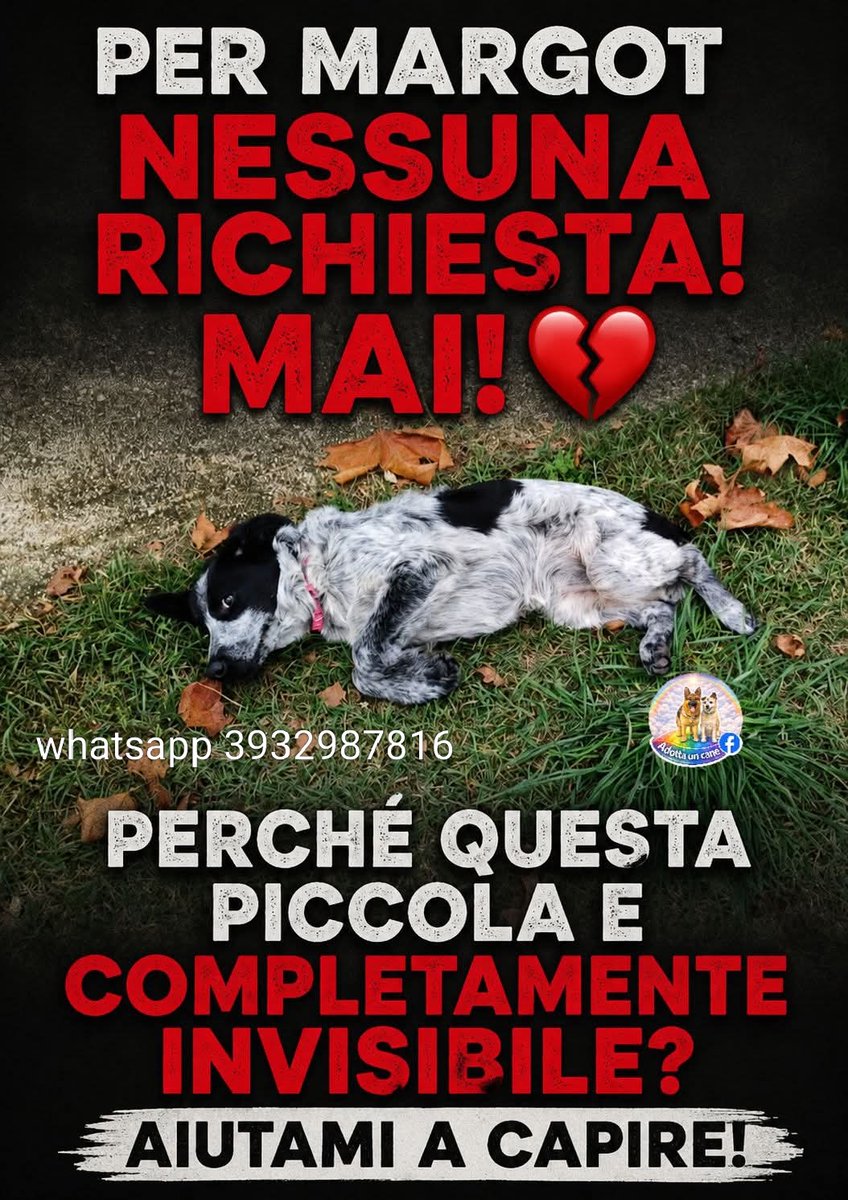 geisup's tweet photo. https://t.co/QDo4pJrWZq