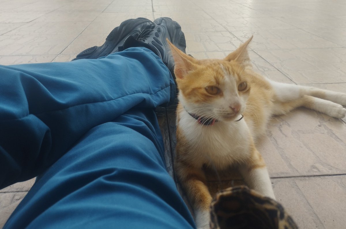 bangfachaa's tweet photo. Felis relagada de la bida!!! https://t.co/eUFpIKFJiA