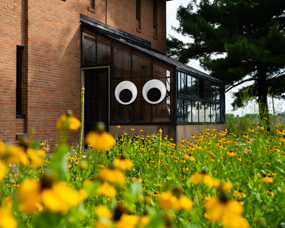ThomasMoreKY's tweet photo. Adding some whimsy around campus

#MakeItMore #ThomasMoreUniversity https://t.co/i4XztDNrII