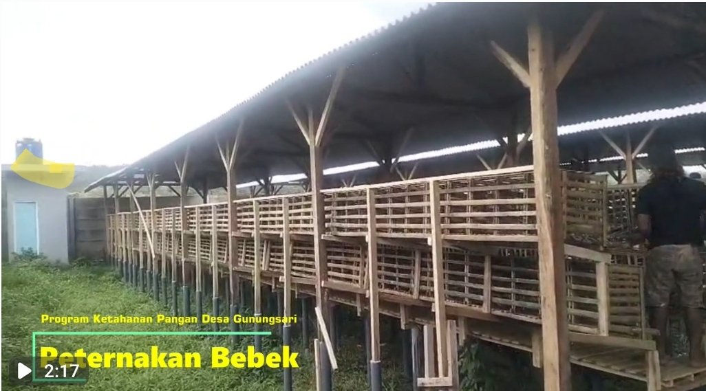 JerryKalan165's tweet photo. TERNAK BEBEK Gunungsari dan Budidaya Jamur Desa Sumbersuko Kabupaten Malang Jawa Timur Perwujudan Ketahanan Pangan.
@YandriSusanto
@ARizaPatria
@KemensetnegRI
#KementerianDesaPDT
#BPSDMKementerianDesaPDT
#DanaDesaBermanfaat
#KetahananPanganDanBUMDesa
#KerjaTPPBerdampak https://t.co/6tZ5ycNFvU