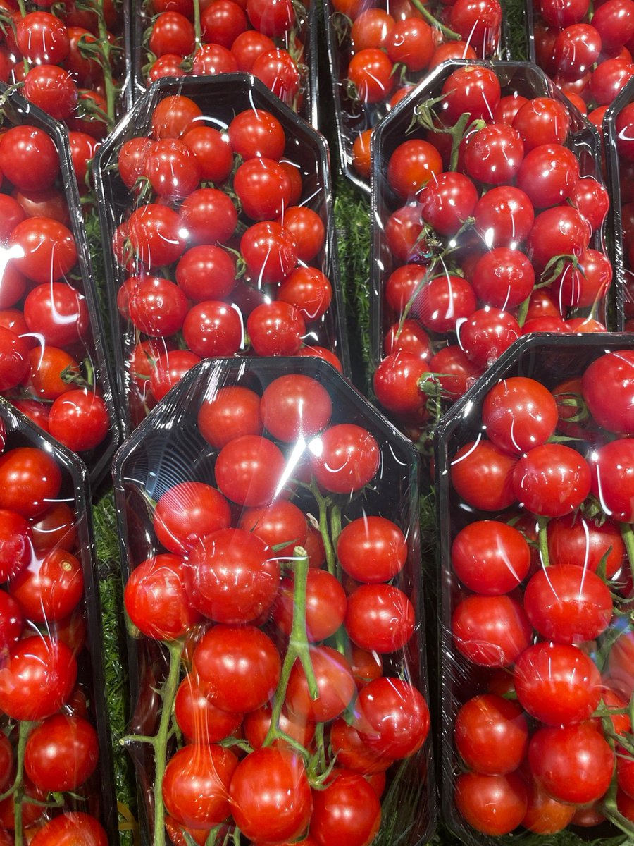 soni2146's tweet photo. Just tried the new organic cherry tomatoes from the local farm! Super juicy, sweet and bursting with fresh flavor—way better than the store-bought ones. Definitely adding these to my weekly grocery list!， https://t.co/rha1jHt6Xr